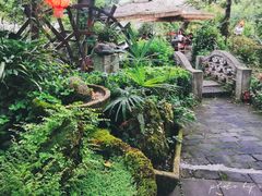 景观位-青城甲(青城山店)