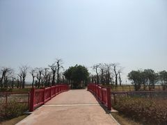 -芒洲湿地公园