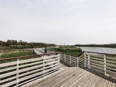 -春花秋色城市公园