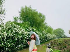 -漕湖湿地公园