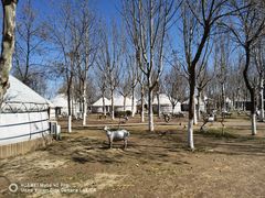 -九十九顶毡房(阜石路店)