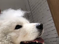 -厦门泰谷酒店(中山路镇海路地铁站店)