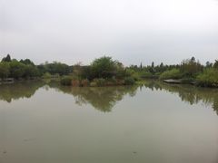 -中国湿地博物馆