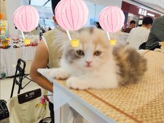 -万达广场(大明宫店)