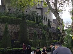 -怪咖·joker陈楠