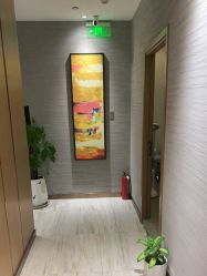 -苑苑vbeauty科技美容SPA