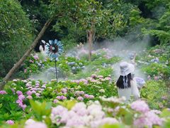 -上海共青森林公园