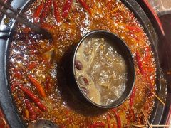 -蜀辣居鲜货老火锅(红牌楼店)
