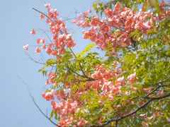 -白塘生态植物园