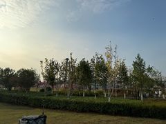 -九龙湖公园