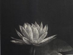 -徐汇艺术馆