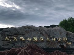 -北京西山国家森林公园