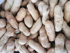 -小叶佳栗子(昌平店)