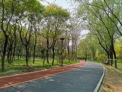 -大兴滨河森林公园