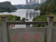 -重庆彩云湖湿地公园