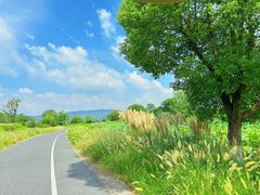 -良渚古城遗址公园