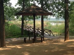 -微山湖红荷湿地景区