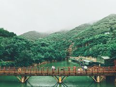 -黄花溪