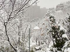 -王虎子大饼(甸柳新村五区店)
