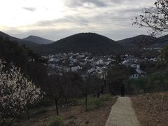 -香雪海