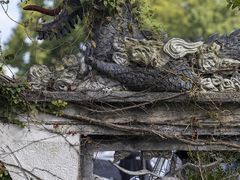 -川沙古镇-停车场