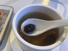 -鸽小宝(深圳首店)