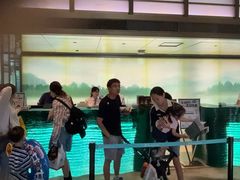 -杭州开元森泊度假乐园