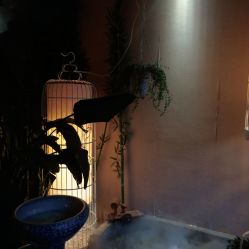 -威思丽高温瑜伽会馆