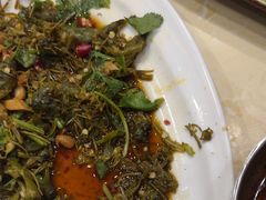 -三锅莊·牦牛肉火锅·香格里拉特色藏餐宴请餐厅(昆明创始店)