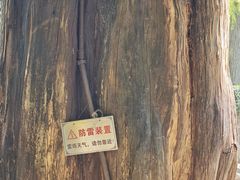 -青岛崂山太清宫