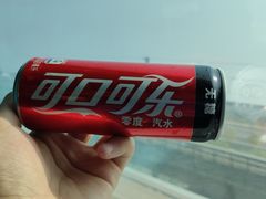 -龙阳路磁悬浮列车总站-停车场