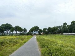 -光明小镇欢乐田园