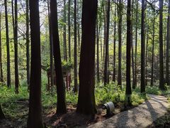 -波尔登森林公园