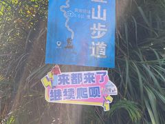 -广州市帽峰山景区