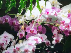 -春暖花开(西溪店)