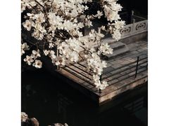 -渌洋湖湿地公园