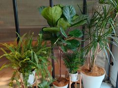 大堂-一尺花园(安和花园店)