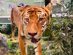 -国家自然博物馆