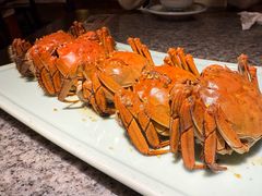 -南京大牌档(中关村领展广场店)