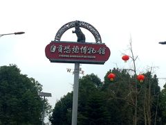 -自贡恐龙博物馆