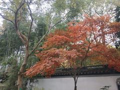 -秋霞圃