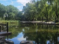 -玲珑塔公园