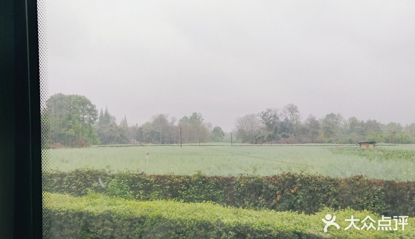 地理位置:青杠树村!这是一个新型的新农村建设基地点