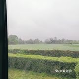 地理位置:青杠树村!这是一个新型的新农村建设基地点