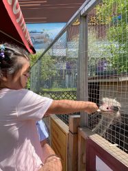 -萌宠亲子动物乐园(槐房万达店)