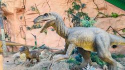 -宝燕乐园(闵行旗舰店)