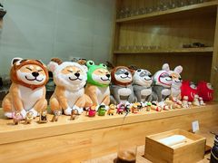 -柴务处·柴犬主题狗咖