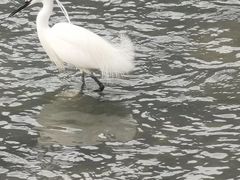 -兰亭风景区