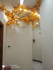 -芳朵美容养生SPA