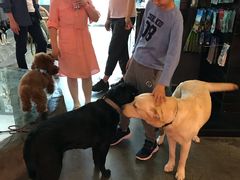 -百好乐宠物友好餐厅(朝外大街店)